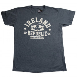 Ireland Heathered Grey T-Shirt